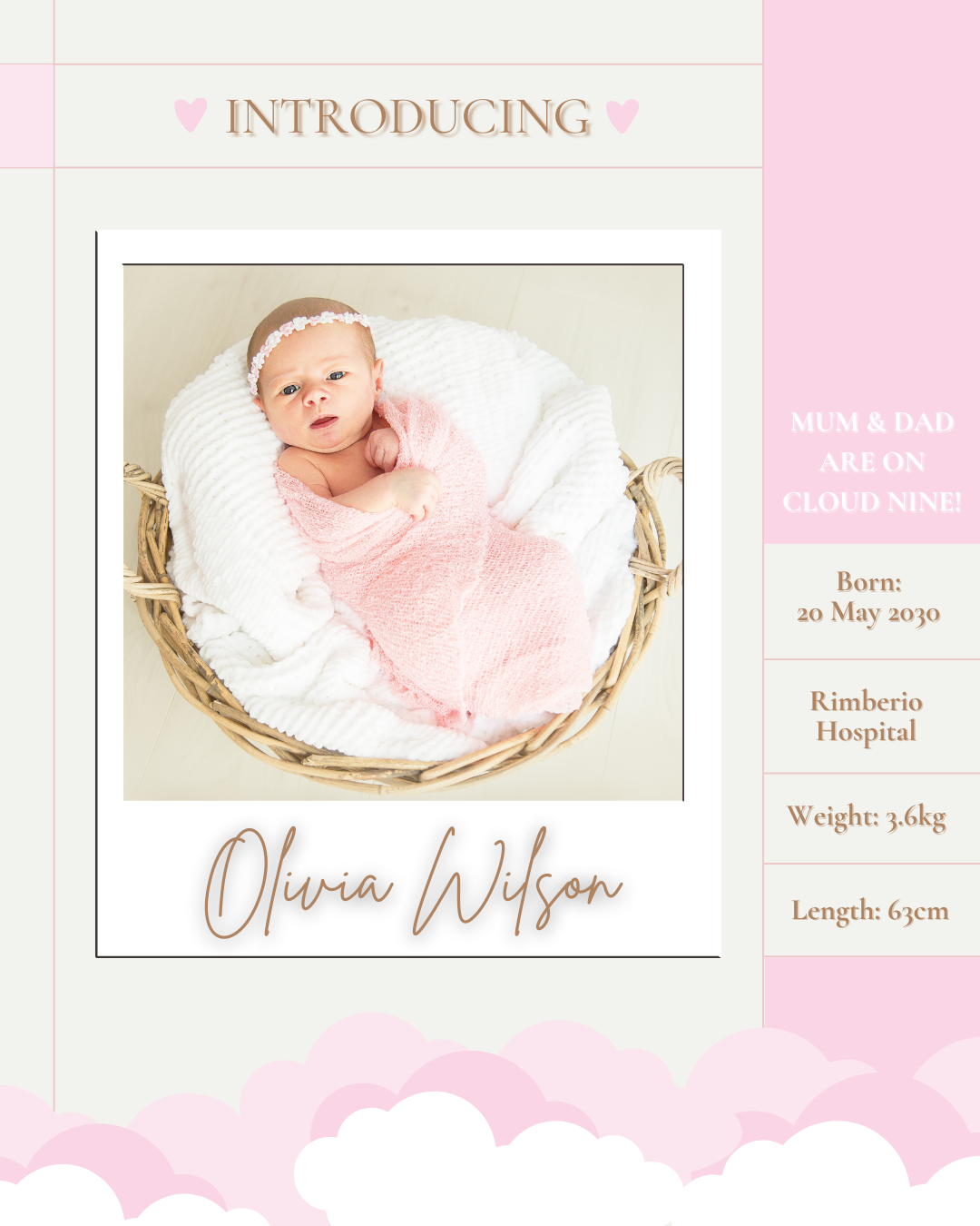 Baby Shower Invitation Model 20 - Picture