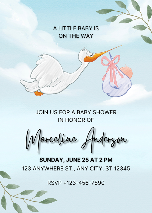 Baby Shower Invitation Model 27 - Picture